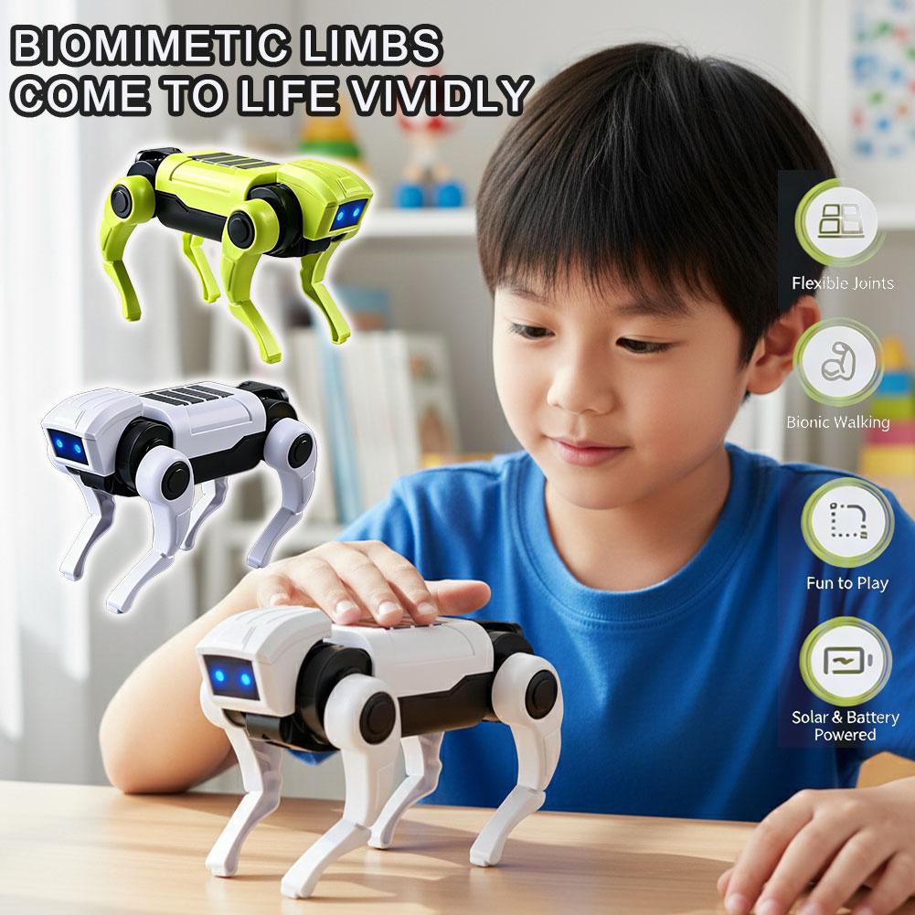 Rc Hobby Kit - DIY Assembly RC Robot Dog Toy